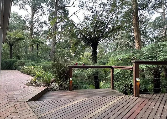 Fernview On Falls